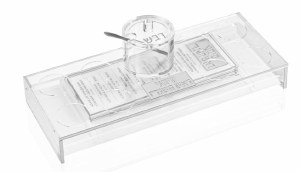 Picture of Lucite Simanim Tray Card Set Suspended Design Includes 6 Lucite Simanim Cards and Honey Dish Silver
